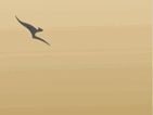 Gold Qantas Status