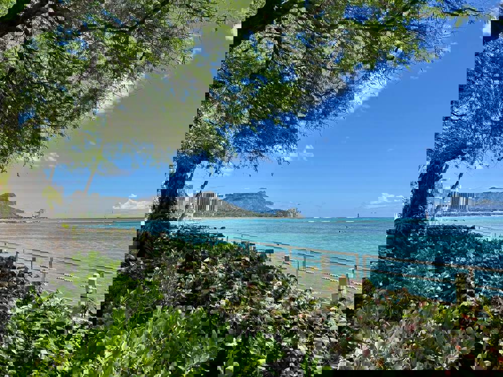 Serene stays with stunning Waikiki Beach views at Halekulani