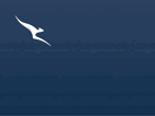 Platinum One Qantas Status