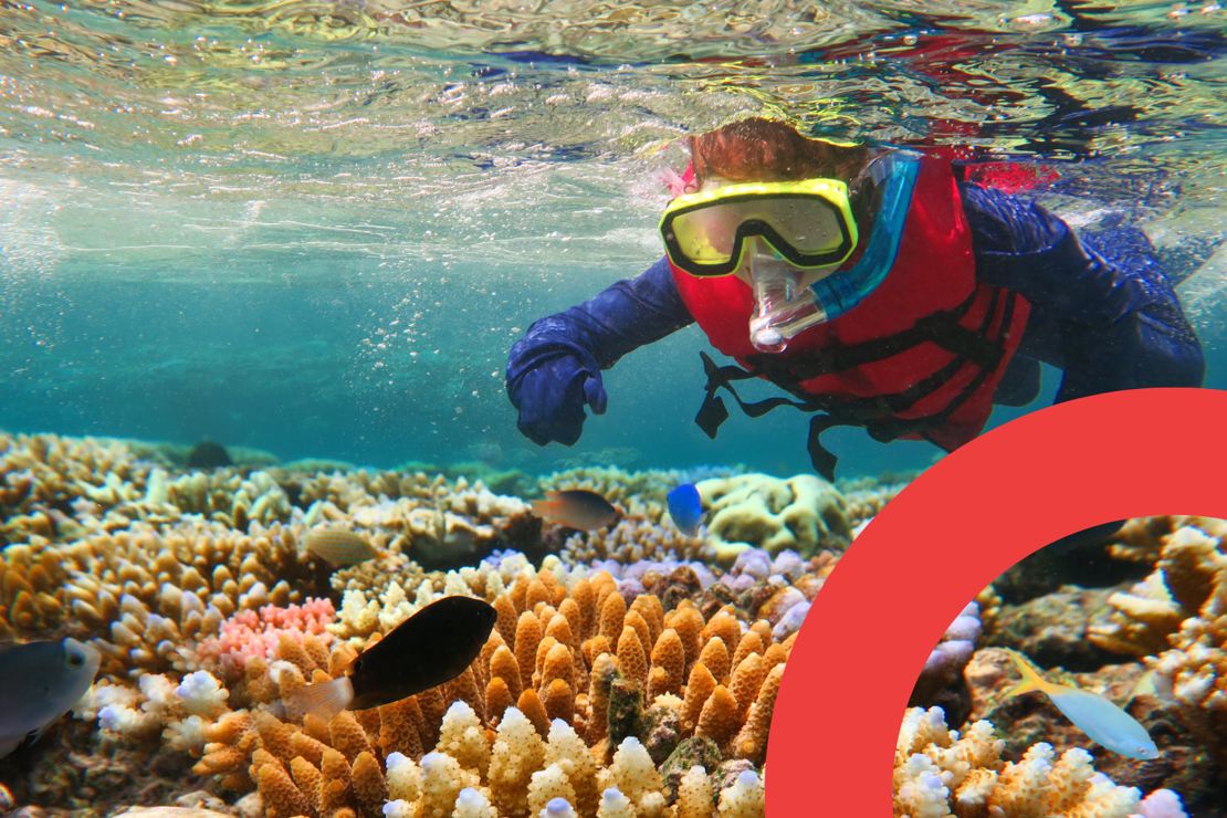 Seat Radar Blog Cover Great Barrier Reef Queensland