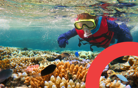 Seat Radar Blog Cover Great Barrier Reef Queensland