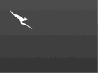 Platinum Qantas Status