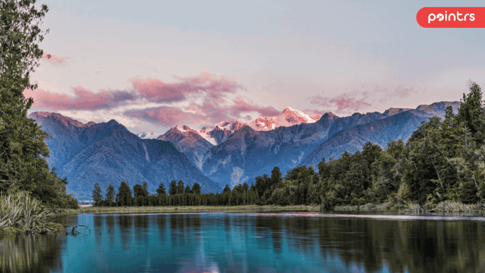 New Zealand in Summer